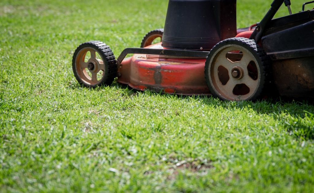How To Cut Your Lawn For The First Time This Spring how-to-cut-your-lawn-for-the-first-time-this-spring