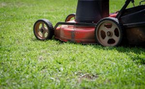 How To Cut Your Lawn for the First Time This Spring