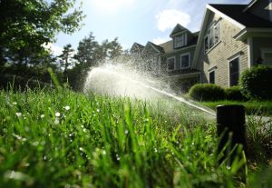 Properly Irrigating Your Lawn – Tips from the Pros