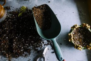 Does Compost Help New Sod - Emerald Sod Farms