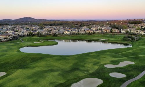 T-1 Bentgrass Sod - Emerald Sod Farms Emerald Sod Farms T-1 Bentgrass Sod