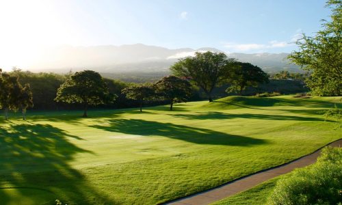 Emerald Sod Farm’s Low Mow Fairway Sod - Golf Course Emerald Sod Farm’s Low Mow Fairway Sod - Golf Course
