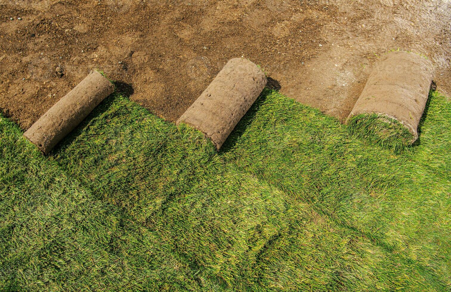 Emerald Sod Farms provides the drought-resistant grass. Expert sod delivery & installation in Castle Rock, CO