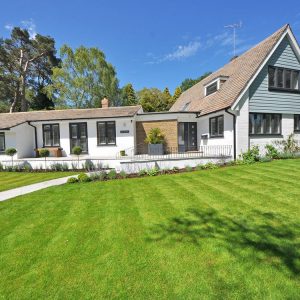Ensure Your Sod Stays Healthy Year-Round - Seasonal Lawn Guide